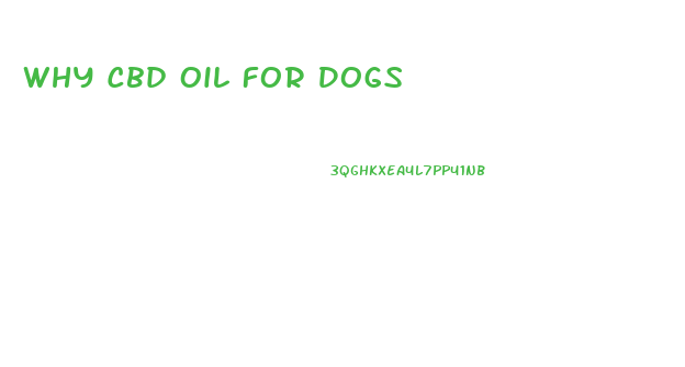 Why Cbd Oil For Dogs