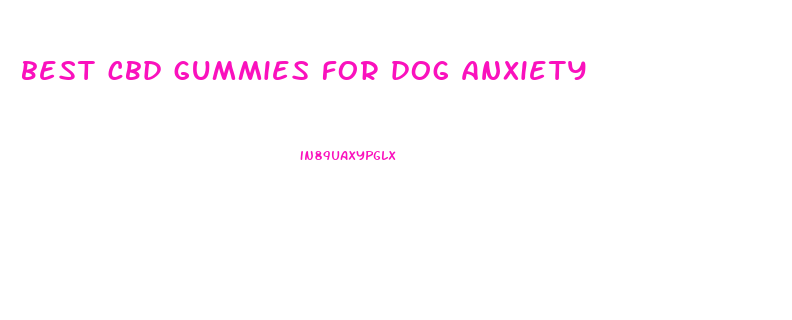 best cbd gummies for dog anxiety