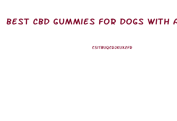 best cbd gummies for dogs with anxiety