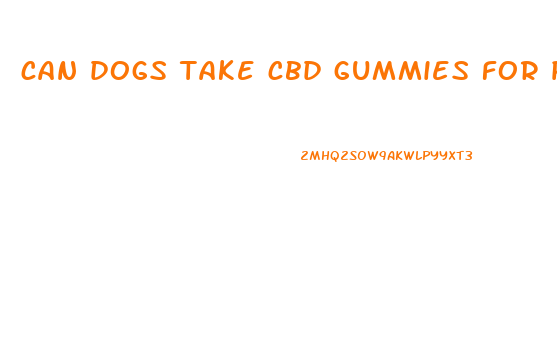 can dogs take cbd gummies for pain