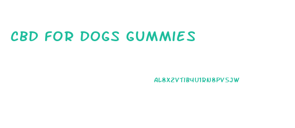cbd for dogs gummies