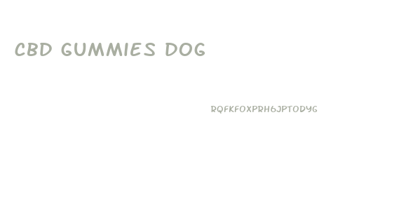 cbd gummies dog