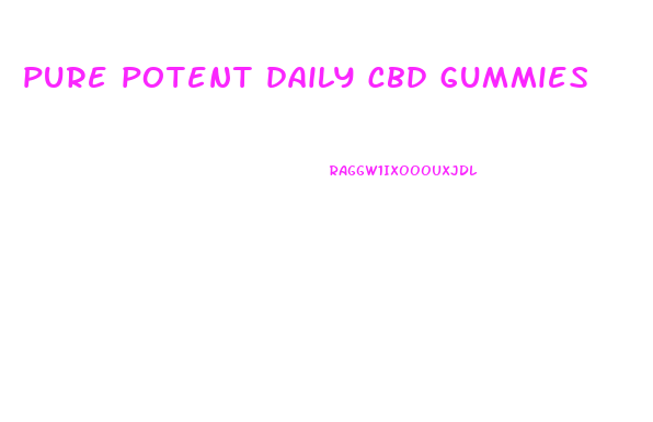 pure potent daily cbd gummies