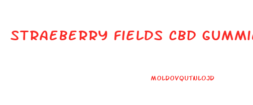 straeberry fields cbd gummies