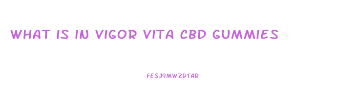 what is in vigor vita cbd gummies