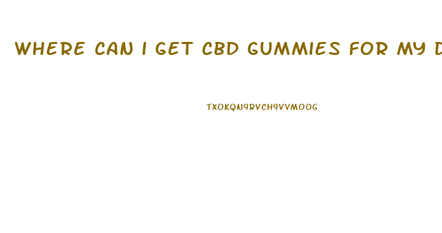 where can i get cbd gummies for my dog