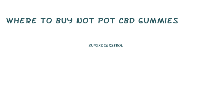 where to buy not pot cbd gummies