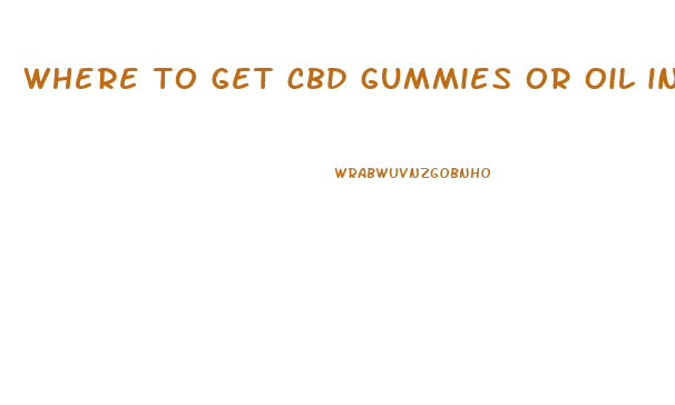 where to get cbd gummies or oil in tampa