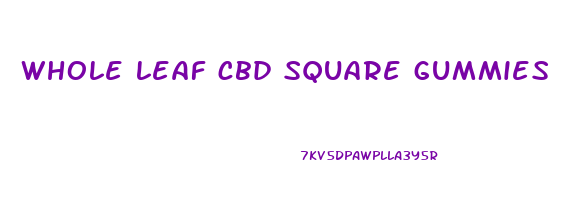 whole leaf cbd square gummies