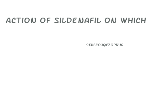 Action Of Sildenafil On Which Part Of The Penis