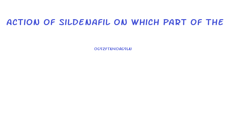 Action Of Sildenafil On Which Part Of The Penis