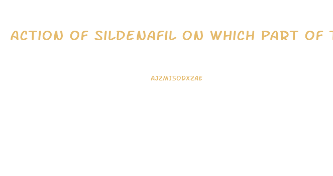 Action Of Sildenafil On Which Part Of The Penis