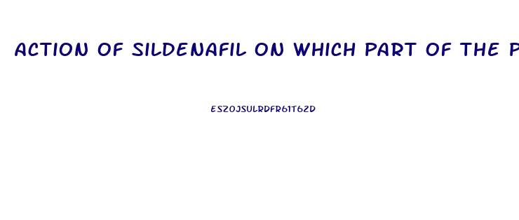 Action Of Sildenafil On Which Part Of The Penis