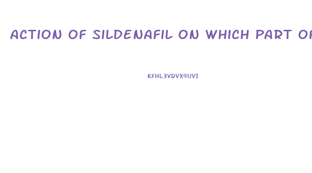 Action Of Sildenafil On Which Part Of The Penis