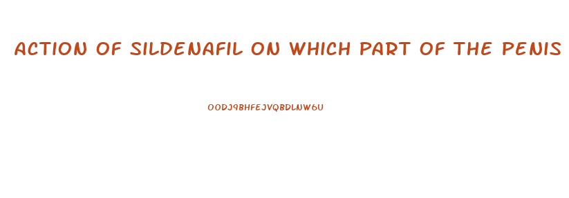 Action Of Sildenafil On Which Part Of The Penis