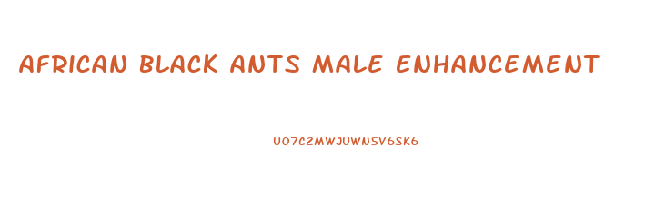 African Black Ants Male Enhancement