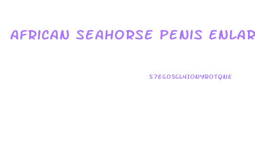 African Seahorse Penis Enlargement