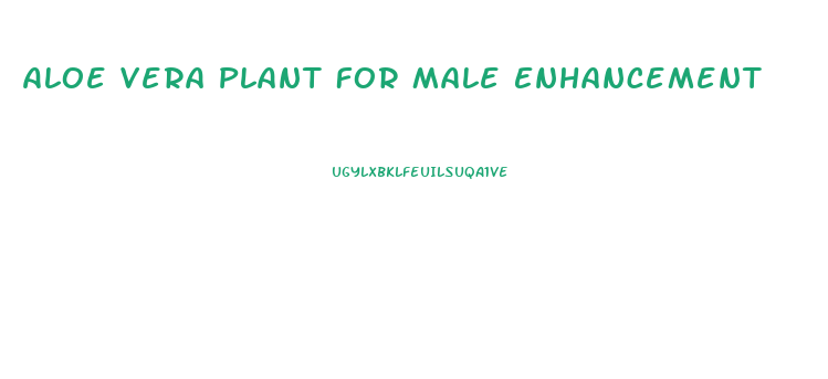 Aloe Vera Plant For Male Enhancement