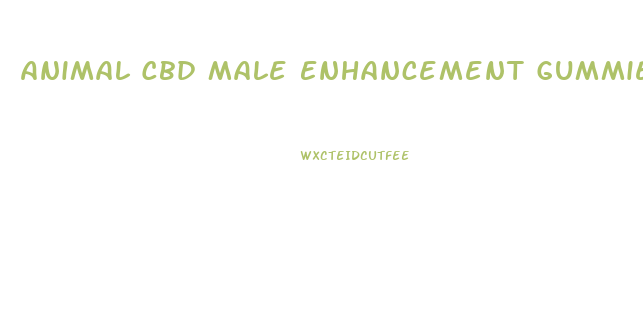 Animal Cbd Male Enhancement Gummies Bottle