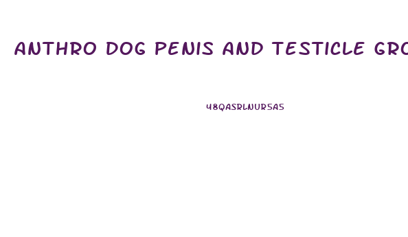 Anthro Dog Penis And Testicle Growth
