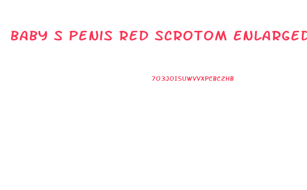 Baby S Penis Red Scrotom Enlarged