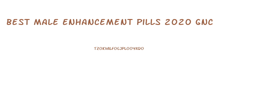 Best Male Enhancement Pills 2020 Gnc