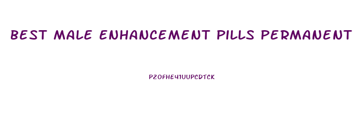 Best Male Enhancement Pills Permanent Results