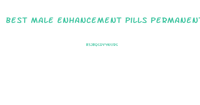 Best Male Enhancement Pills Permanent Results