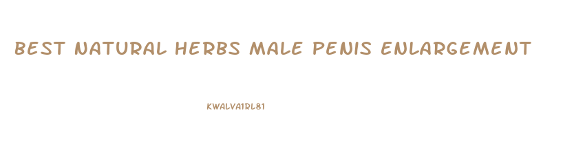 Best Natural Herbs Male Penis Enlargement