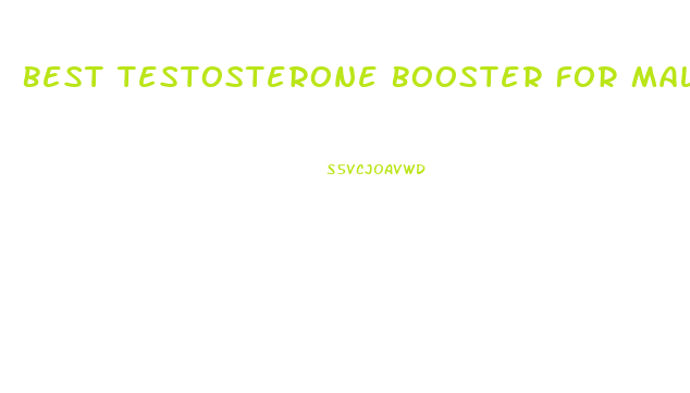 Best Testosterone Booster For Male Enhancement