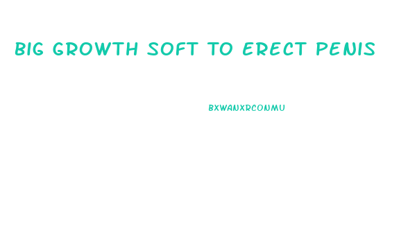 Big Growth Soft To Erect Penis