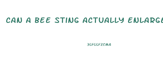 Can A Bee Sting Actually Enlarge Your Penis