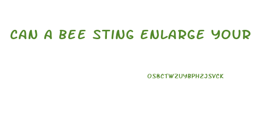 Can A Bee Sting Enlarge Your Peni Naturally
