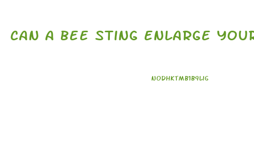 Can A Bee Sting Enlarge Your Peni