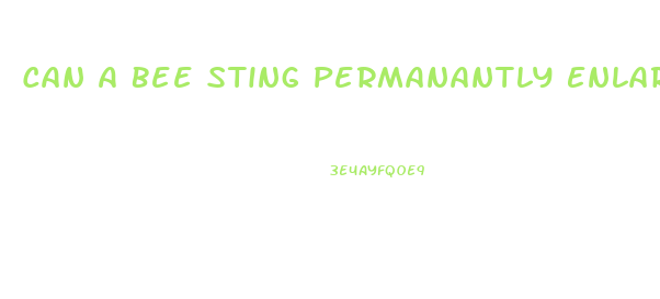 Can A Bee Sting Permanantly Enlarge Your Penis