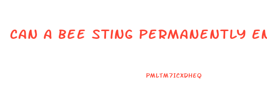 Can A Bee Sting Permanently Enlarge A Man S Penis