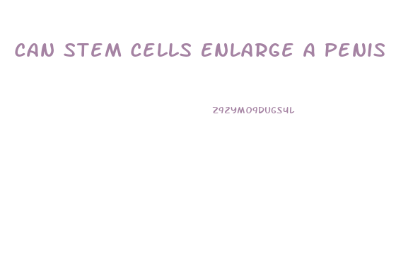 Can Stem Cells Enlarge A Penis