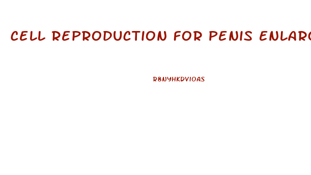 Cell Reproduction For Penis Enlargement