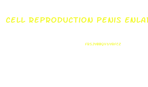 Cell Reproduction Penis Enlargement