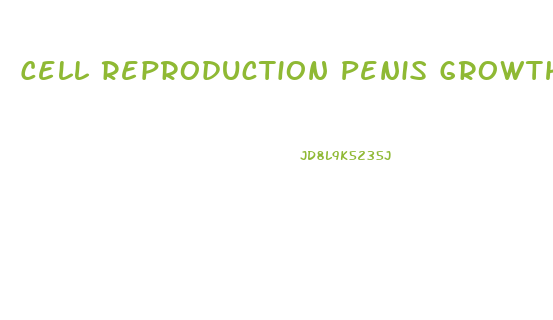 Cell Reproduction Penis Growth