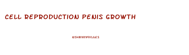 Cell Reproduction Penis Growth