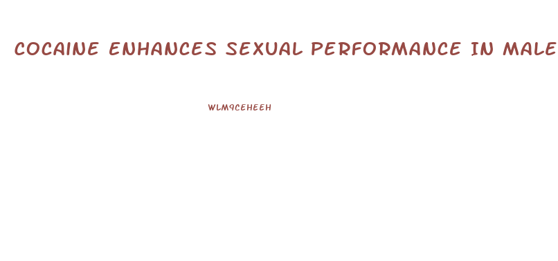 Cocaine Enhances Sexual Performance In Males 