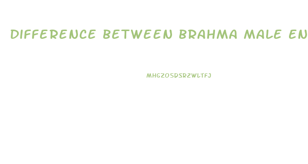 Difference Between Brahma Male Enhancement And Viagra