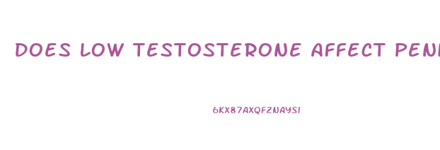 Does Low Testosterone Affect Penis Growth