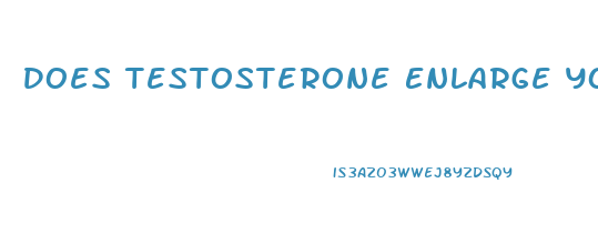 Does Testosterone Enlarge Your Penis
