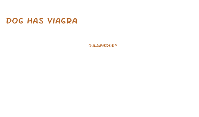 Dog Has Viagra
