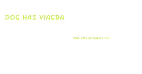 Dog Has Viagra