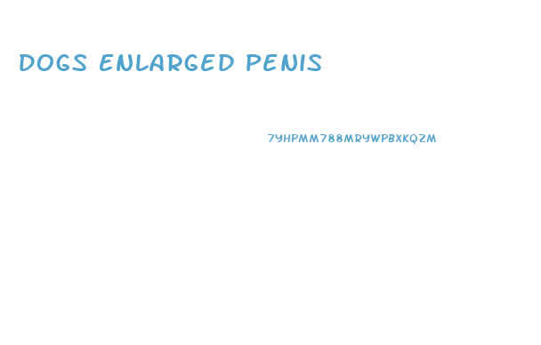 Dogs Enlarged Penis