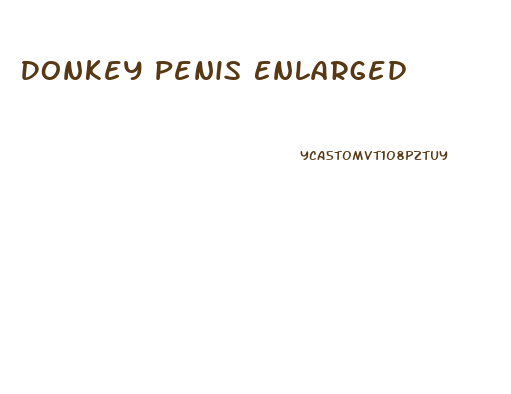 Donkey Penis Enlarged