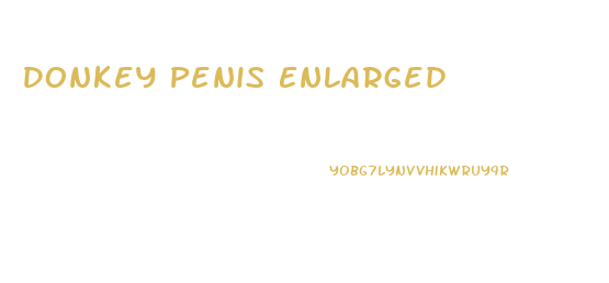 Donkey Penis Enlarged